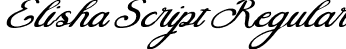 Elisha Script Regular font - Elisha Script - OTF.otf