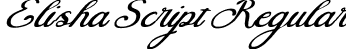 Elisha Script Regular font - Elisha Script - TTF.ttf