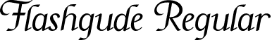 Flashgude Regular font - Flashgude - PERSONAL USE ONLY.ttf