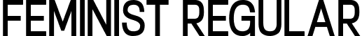 Feminist Regular font - Feminist.ttf