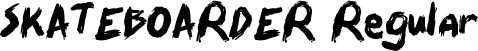 SKATEBOARDER Regular font - SKATEBOARDER.ttf