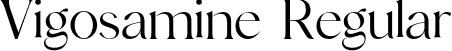 Vigosamine Regular font - Vigosamine.otf