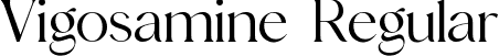 Vigosamine Regular font - Vigosamine.ttf