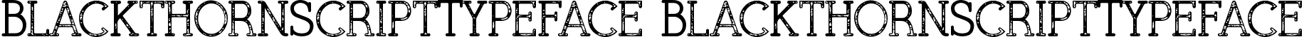 BlackthornScriptTypeface BlackthornScriptTypeface font - BlackthornScriptTypeface.ttf