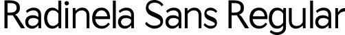 Radinela Sans Regular font - Radinela Sans.ttf