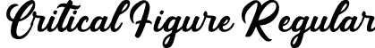 Critical Figure Regular font - Critical Figure.ttf