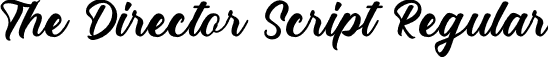 The Director Script Regular font - The Director Scipt.ttf