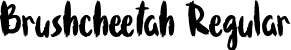 Brushcheetah Regular font - Brushcheetah.ttf