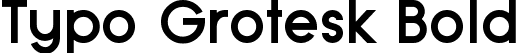 Typo Grotesk Bold font - Typo Grotesk Bold Demo.otf