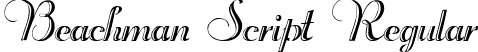 Beachman Script Regular font - BeachmanScript.ttf