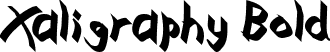 Xaligraphy Bold font - Xaligraphy Bold.ttf