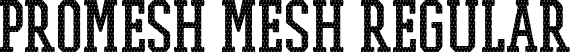 PROMESH Mesh Regular font - PROMESHMesh-Regular.ttf