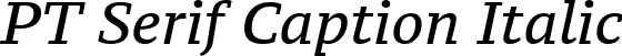 PT Serif Caption Italic font - PTZ56F.ttf