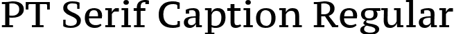 PT Serif Caption Regular font - PTZ55F.ttf