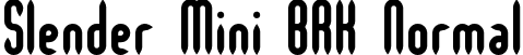 Slender Mini BRK Normal font - slenmini.ttf