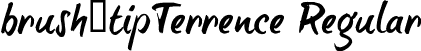 brush-tipTerrence Regular font - BTTTRIAL.otf