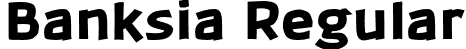 Banksia Regular font - Banksia-Black.otf