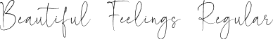 Beautiful Feelings Regular font - Beautiful Feelings.otf