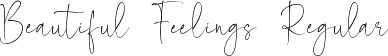 Beautiful Feelings Regular font - Beautiful Feelings.ttf