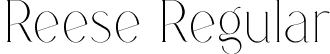 Reese Regular font - Reese.otf