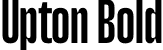 Upton Bold font - Upton-Bold.otf