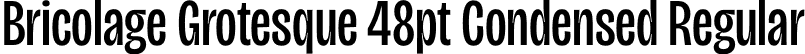 Bricolage Grotesque 48pt Condensed Regular font - BricolageGrotesque48ptCondensed-Regular.otf