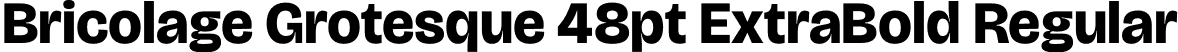 Bricolage Grotesque 48pt ExtraBold Regular font - BricolageGrotesque48pt-ExtraBold.otf