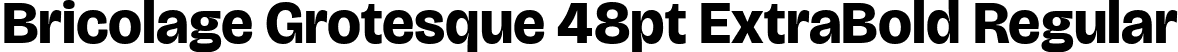 Bricolage Grotesque 48pt ExtraBold Regular font - BricolageGrotesque48pt-ExtraBold.ttf