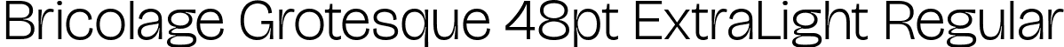 Bricolage Grotesque 48pt ExtraLight Regular font - BricolageGrotesque48pt-ExtraLight.ttf