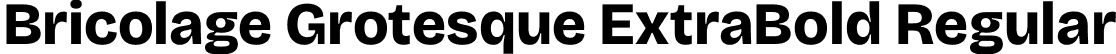 Bricolage Grotesque ExtraBold Regular font - BricolageGrotesque-ExtraBold.otf