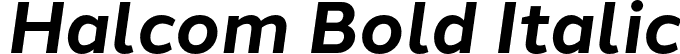 Halcom Bold Italic font - Halcom-BoldItalic.otf