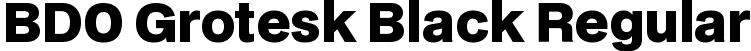 BDO Grotesk Black Regular font - BDOGrotesk-Black.ttf