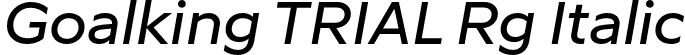 Goalking TRIAL Rg Italic font - Goalking_TRIAL-RgIt.otf