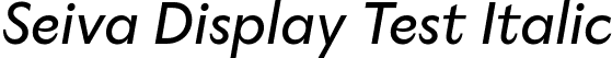 Seiva Display Test Italic font - SeivaDisplayTest-Italic.ttf