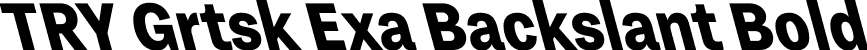 TRY Grtsk Exa Backslant Bold font - TRYGrtsk-BoldExaBackslant.ttf