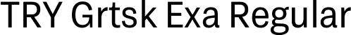 TRY Grtsk Exa Regular font - TRYGrtsk-Exa.ttf