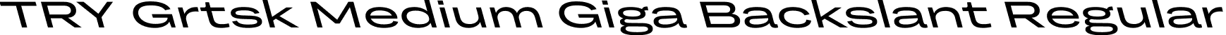 TRY Grtsk Medium Giga Backslant Regular font - TRYGrtsk-MediumGigaBackslant.ttf