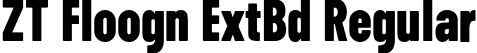 ZT Floogn ExtBd Regular font - ztfloogn-extrabold.otf