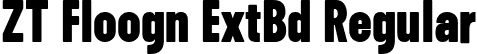 ZT Floogn ExtBd Regular font - ztfloogn-extrabold.ttf