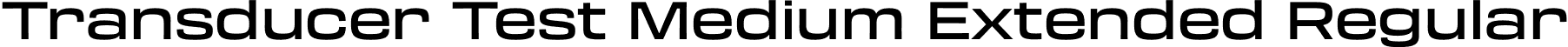 Transducer Test Medium Extended Regular font - TransducerTest-ExtendedMedium.otf