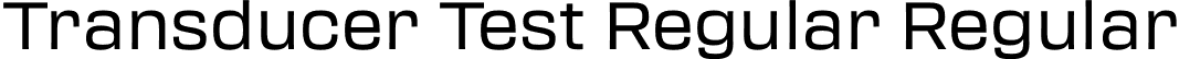 Transducer Test Regular Regular font - TransducerTest-Regular.otf