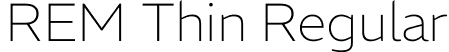 REM Thin Regular font - REMwght.ttf