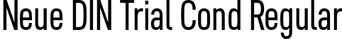 Neue DIN Trial Cond Regular font - NeueDINTrialCond-Regular.otf