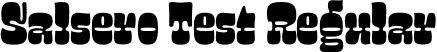 Salsero Test Regular font - salserotest-regular.otf