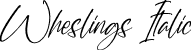 Wheslings Italic font - Wheslings-Italic.otf