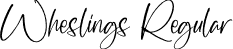 Wheslings Regular font - Wheslings.otf