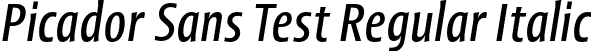 Picador Sans Test Regular Italic font - PicadorSansTest-RegularItalic-uploaded-63b6417d1c078.otf