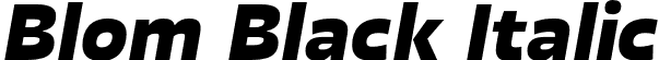 Blom Black Italic font - Blom-BlackItalic.otf