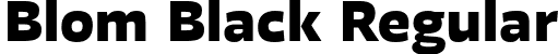 Blom Black Regular font - Blom-Black.otf