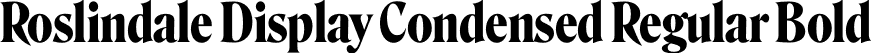 Roslindale Display Condensed Regular Bold font - Roslindale-DisplayCondensedBold-Testing.otf